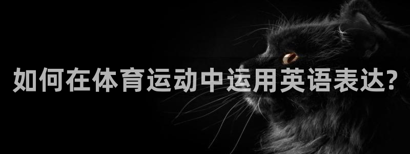 米兰体育官方正版app神州：如何在体育运动中运用英语