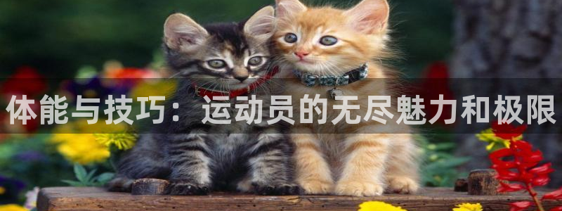 米兰体育官网下载平台假的吗是真的吗吗