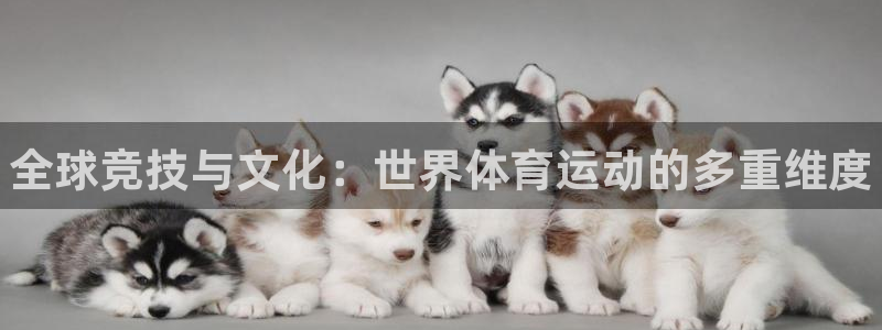 米兰体育官网下载招商电话地址