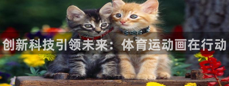米兰体育官方正版app集团官网网址：创新科技引领未来：体育运