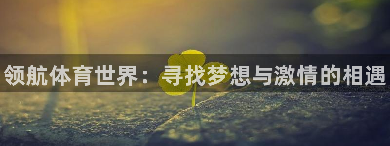 米兰体育官方正版app五金厂：领航体育世界：寻找梦想