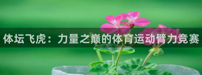 米兰体育官网下载招商：体坛飞虎：力量之巅的体育运动臂力竞赛