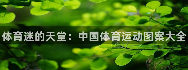 米兰体育官网下载招商电话号码查询：体育迷的天堂：中国