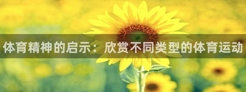 米兰体育官网下载招商电话：体育精神的启示：欣赏不同类型的体育