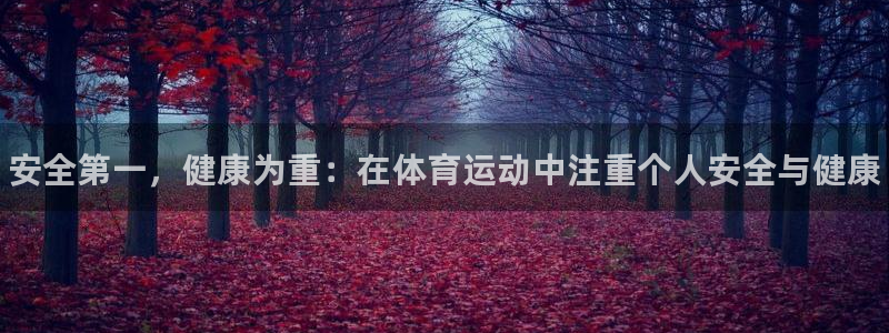 米兰体育官方正版app娱乐平台：安全第一，健康为重：在体育运