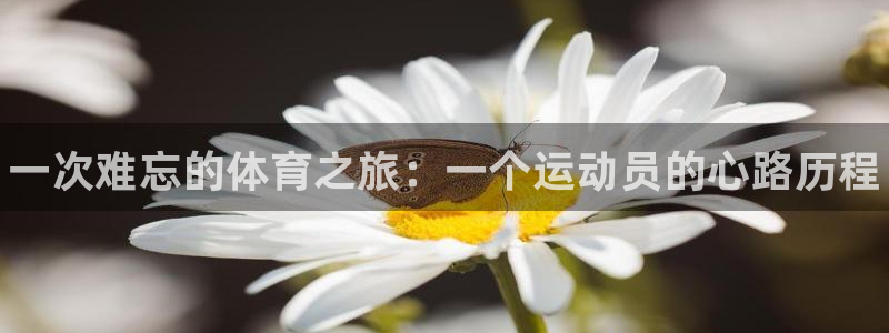 米兰体育官网下载联系电话