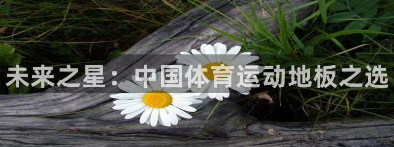 米兰体育官网下载软件：未来之星：中国体育运动地板之选