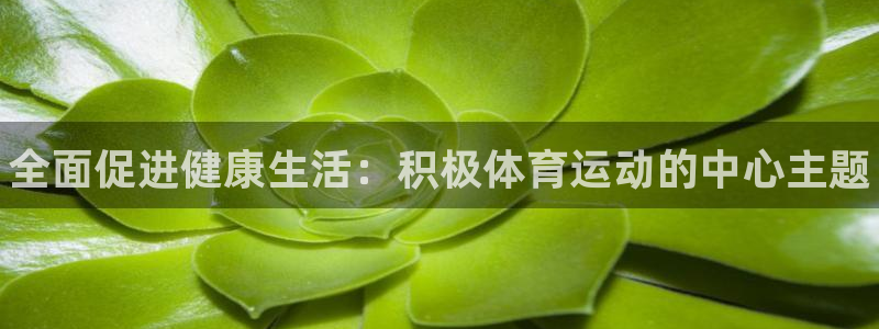米兰体育官方正版app五金厂：全面促进健康生活：积极体育运动