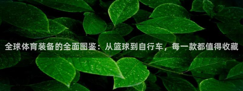 米兰体育官方正版app娱乐