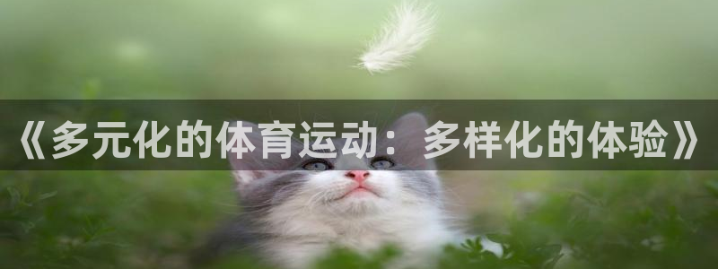 米兰体育官网下载平台：《多元化的体育运动：多样化的体