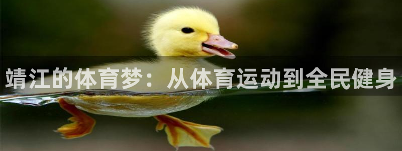 米兰体育官方正版app集团logo：靖江的体育梦：从