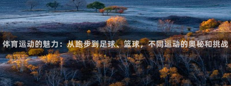 米兰体育官方正版app集团简介：体育运动的魅力：从跑步到足球