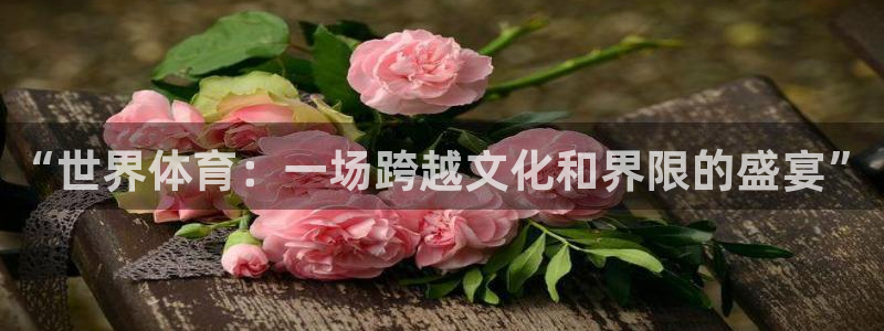 米兰体育官网下载软件