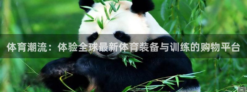 米兰体育官网下载招商电话：体育潮流：体验全球最新体育装备与训