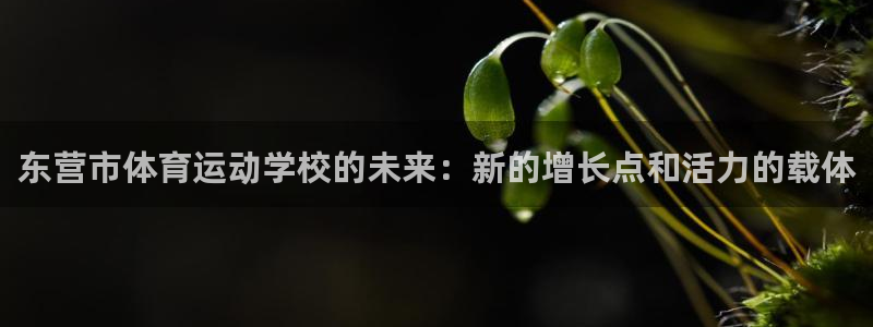 米兰体育官方正版app代理：东营市体育运动学校的未来：新的增