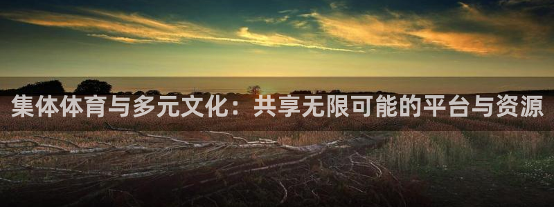米兰体育官方正版app集团官网首页：集体体育与多元文化：共享