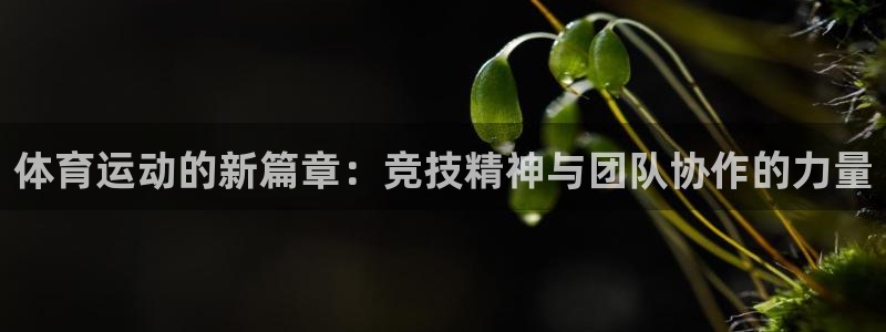 米兰体育官方正版app娱乐：体育运动的新篇章：竞技精神与团队