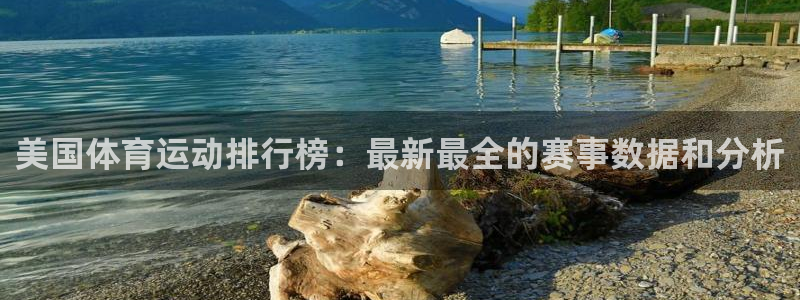 米兰体育官方正版app新能源：美国体育运动排行榜：最新最全的