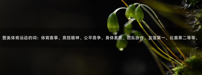 米兰体育官方正版app娱乐40996：赞美体育运动的词：体育