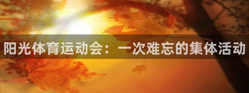 米兰体育官方正版app集团官网网址：阳光体育运动会：一次难忘